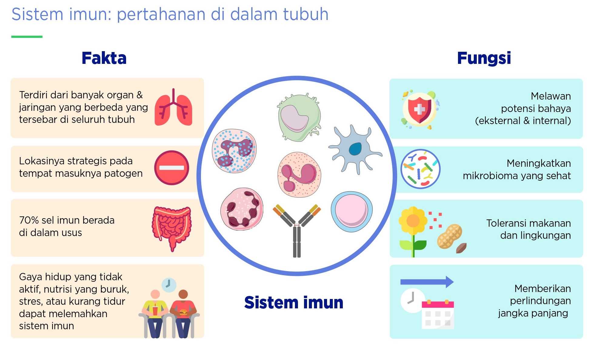 Mikrobioma yang sehat Mikrobioma yang sehat