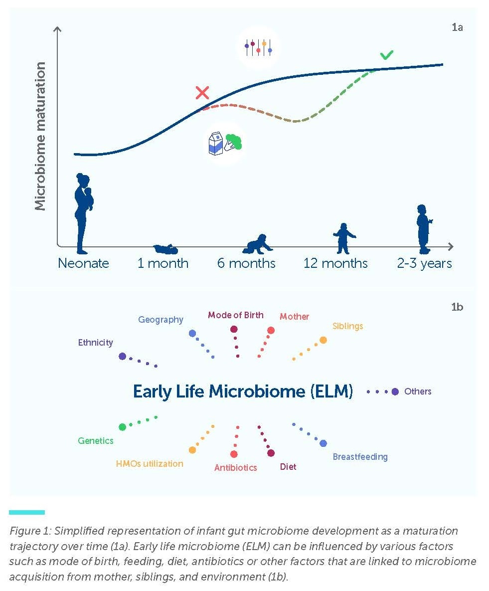 Early Life Microbiome Trajectory and its influencers