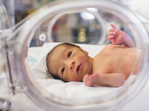 Probiotik yang Diberikan pada Bayi Baru Lahir dapat Membantu Mencegah Kolik