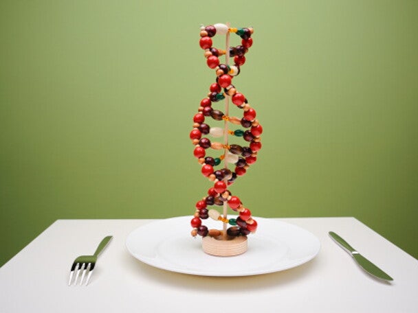 Kontribusi dari Mikrobiota Usus Terhadap Kesehatan Manusia