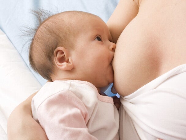 Probiotik pada Kehamilan dan Menyusui