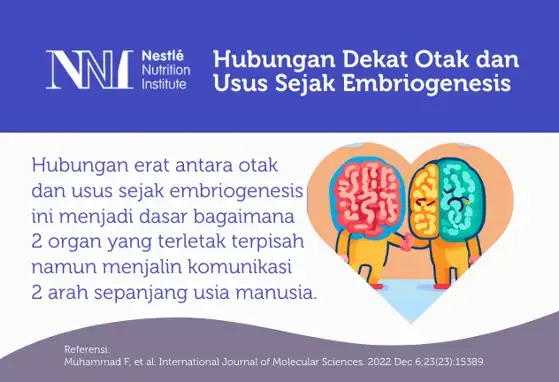 Hubungan Dekat  Usus dan Otak  Sejak Embriogenesis