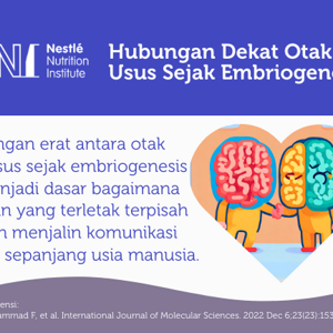 Hubungan Dekat  Usus dan Otak  Sejak Embriogenesis