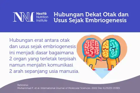 Hubungan Dekat  Usus dan Otak  Sejak Embriogenesis
